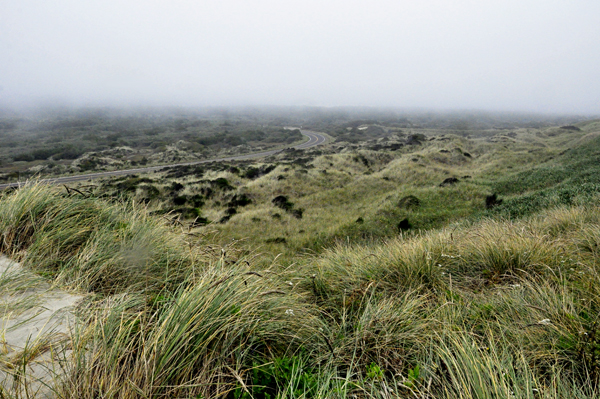 the fog settling in